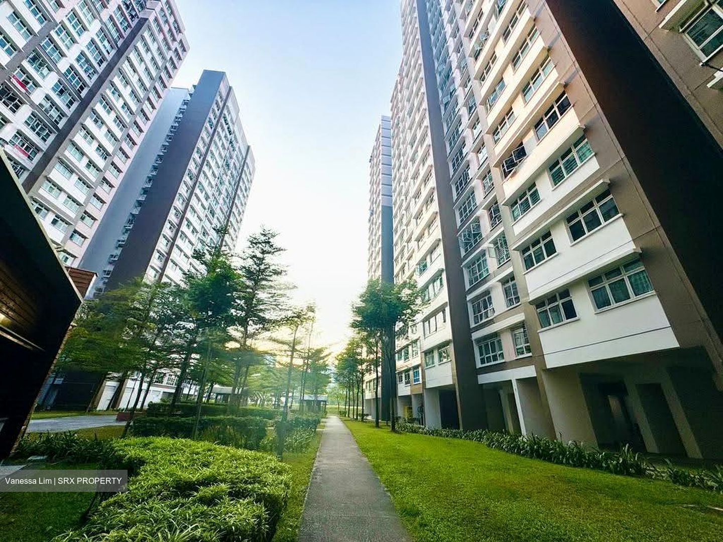 Blk 451A West Terra @ Bukit Batok (Bukit Batok), HDB 2 Rooms #634646211